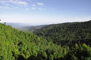 Munduk Sari Garden Villa
