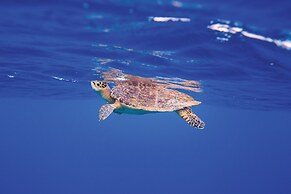 OBLU NATURE Helengeli - All-Inclusive with Free Transfers