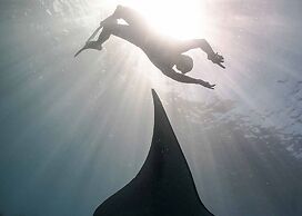 OBLU NATURE Helengeli - All-Inclusive with Free Transfers