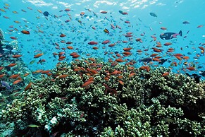 OBLU NATURE Helengeli - All-Inclusive with Free Transfers