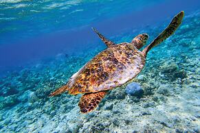 OBLU NATURE Helengeli - All-Inclusive with Free Transfers