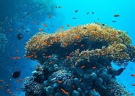 OBLU NATURE Helengeli - All-Inclusive with Free Transfers