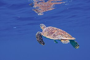 OBLU NATURE Helengeli - All-Inclusive with Free Transfers