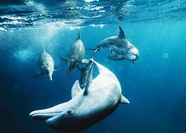 OBLU NATURE Helengeli - All-Inclusive with Free Transfers