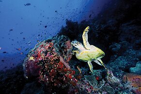 OBLU NATURE Helengeli - All-Inclusive with Free Transfers