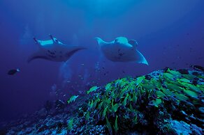 OBLU NATURE Helengeli - All-Inclusive with Free Transfers