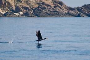 South Pearl Apart Complex