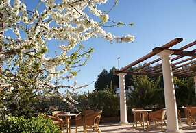 Hotel Patilla Ciudad de Requena