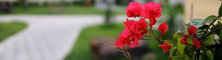 Hotel Victoria Garden