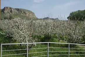 Il Bevaio di Corleone