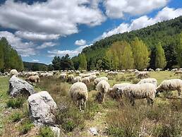 Enclave Soria