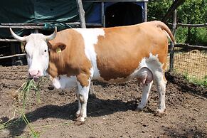 Agriturismo Piccolo Paradiso