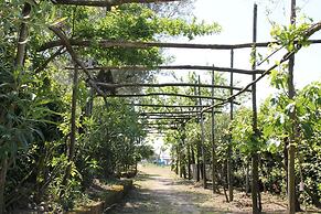 Agriturismo Piccolo Paradiso