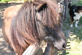 Agriturismo Piccolo Paradiso