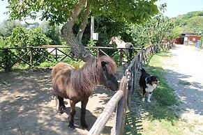 Agriturismo Piccolo Paradiso