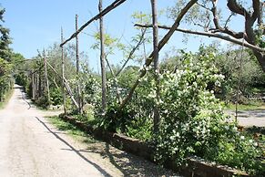 Agriturismo Piccolo Paradiso