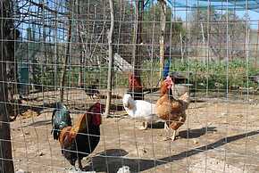 Agriturismo Piccolo Paradiso