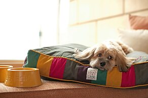 Andaz Delhi, by Hyatt