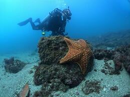 Aquamaster Dive Pousada