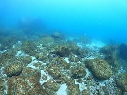 Aquamaster Dive Pousada