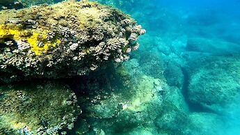 Aquamaster Dive Pousada