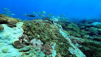 Aquamaster Dive Pousada