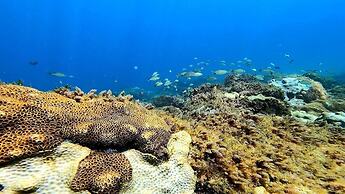 Aquamaster Dive Pousada