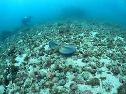 Aquamaster Dive Pousada