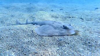 Aquamaster Dive Pousada