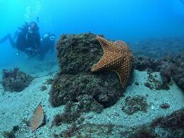 Aquamaster Dive Pousada
