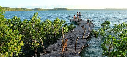 Distant Relatives Ecolodge & Backpackers