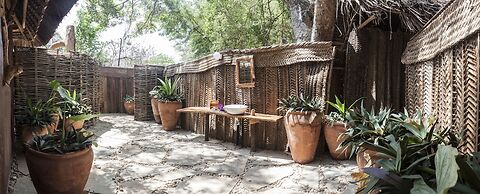 Distant Relatives Ecolodge & Backpackers