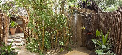 Distant Relatives Ecolodge & Backpackers