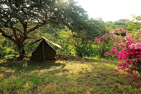 Distant Relatives Ecolodge & Backpackers
