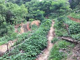 Distant Relatives Ecolodge & Backpackers