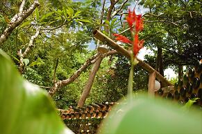 Distant Relatives Ecolodge & Backpackers