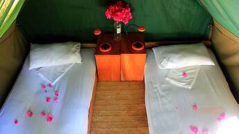 Distant Relatives Ecolodge & Backpackers