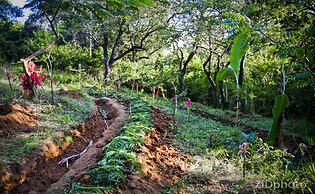Distant Relatives Ecolodge & Backpackers