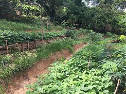 Distant Relatives Ecolodge & Backpackers