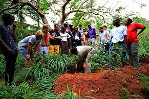 Distant Relatives Ecolodge & Backpackers