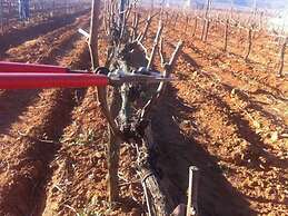 Casa Rural Magnanimus