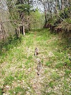 Colleverde Country House Beauty&Wellness