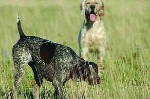 Colleverde Country House Beauty&Wellness