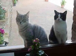 Colleverde Country House Beauty&Wellness