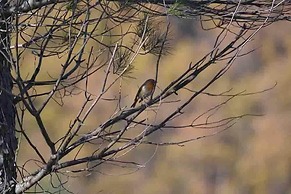 Colleverde Country House Beauty&Wellness