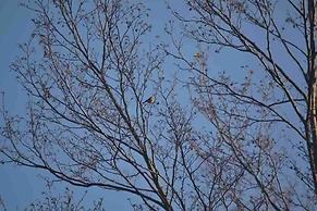 Colleverde Country House Beauty&Wellness