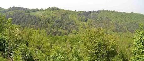 Colleverde Country House Beauty&Wellness