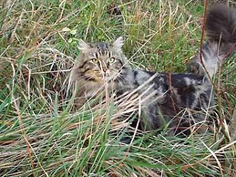 Colleverde Country House Beauty&Wellness