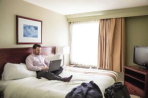 Chateau Nova Kingsway