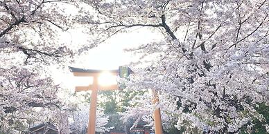 Guesthouse Hana Nishijin